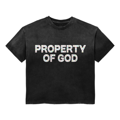 PROPERTY OF GOD