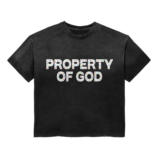 PROPERTY OF GOD